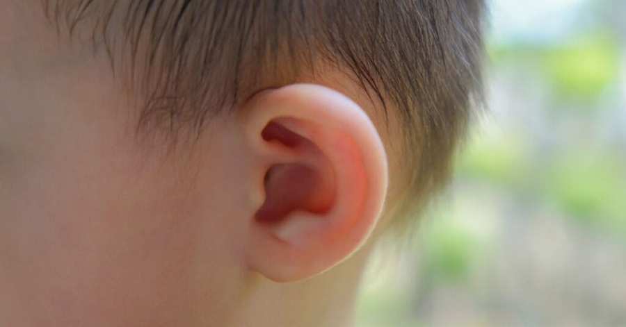 Toddler Plugging Ears With Fingers